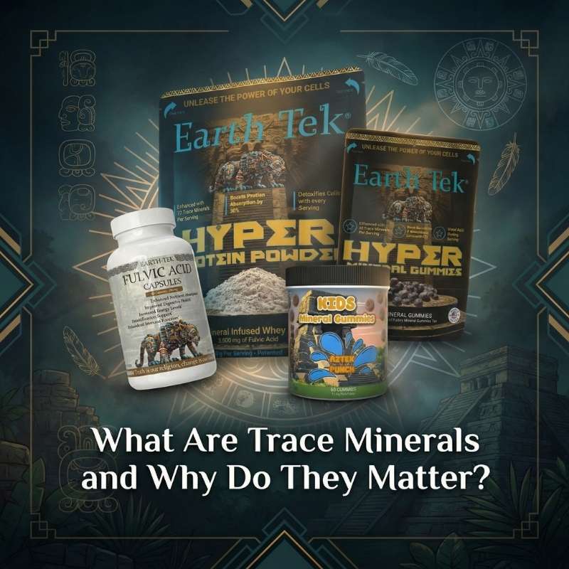 What Are Trace Minerals and Why Do They Matter?